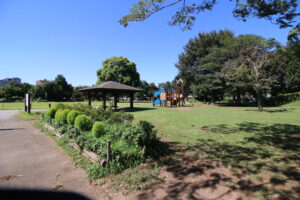 トンボ公園